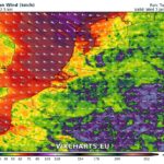 Windupdate: morgen storm en zware windstoten